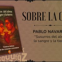 Sobre la Obra - PABLO NAVARRO