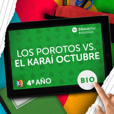 027 Los porotos vs. el Karaí Octubre